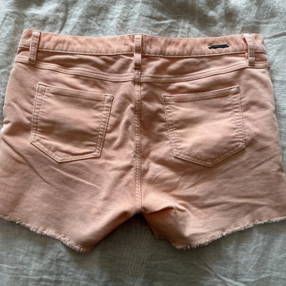 Carve Designs Oahu 4" Short - Peach color Size 10 - Picture 6 of 7